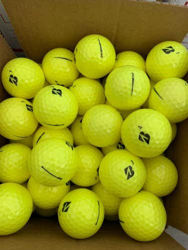 2 Dozen (24) Bridgestone e6 Yellow 2019-2021 Model Years AAAAA Mint Golf Balls