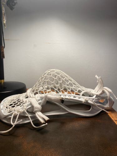 Strung Stallion 900 Head