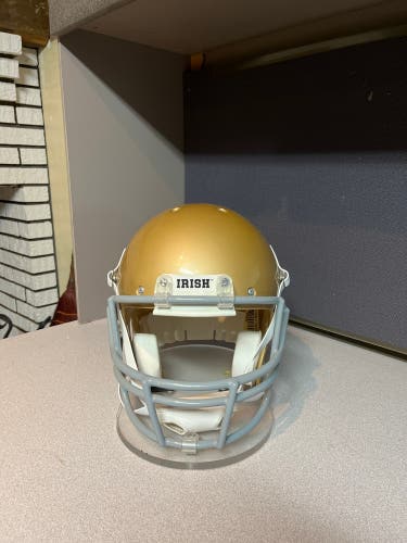 Notre Dame Schutt replica (display) helmet