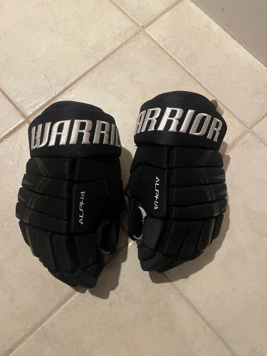 Warrior 14" Alpha DX4 Gloves