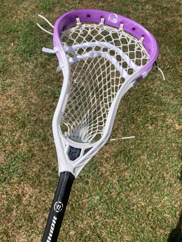 New Brine Clutch 4X Lacrosse Head W/Taco Bell Dye