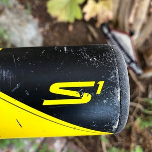 2013 Composite (-12) 19 oz 31" S1 Bat
