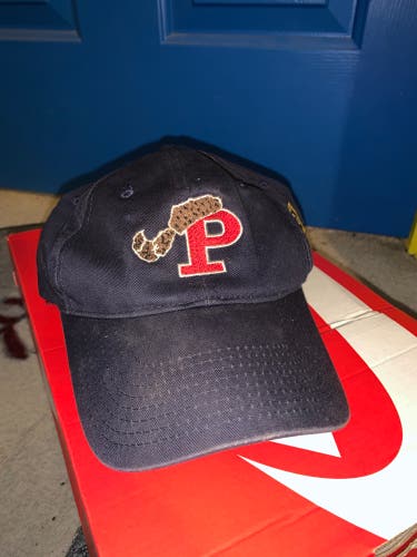 Elmira Pioneers Vintage Hat