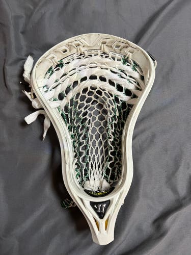 Warrior Regulator Max Defense Head W/ ECD Striker