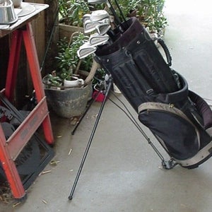 FULL SET LADY MATCHING GOLF CLUB 4 WOODS 9 IRONS STAND BAG PUTTER & EXTRAS jb