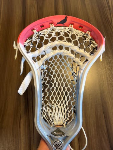 Custom Dyed Staple Pigeon Maverik Kinetik Head