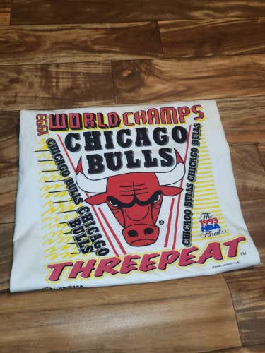 Vintage Rare Magic Johnson Ts Chicago Bulls NBA 3 Peat Champion T Shirt Sz L