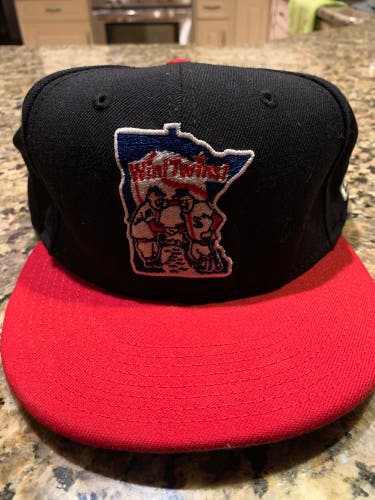 Minnesota Twins hat
