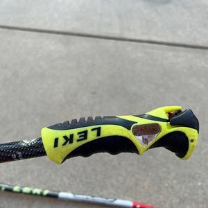Used 46in (115cm) Racing World Cup Lite GS Ski Poles