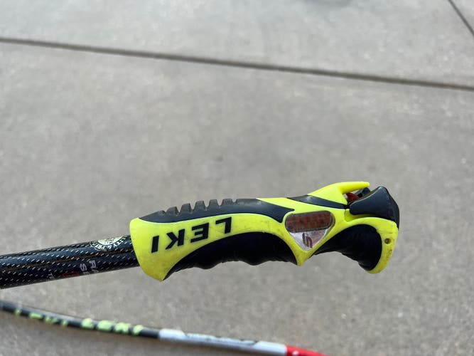Used 46in (115cm) Racing World Cup Lite GS Ski Poles