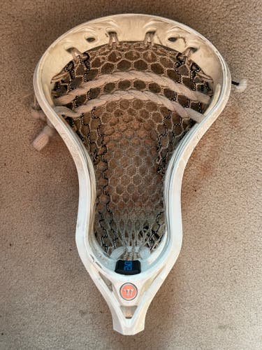 Warrior Evo Qx-D Head, Strung - used