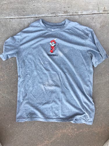 Gray Used Medium/Large Nike Shirt