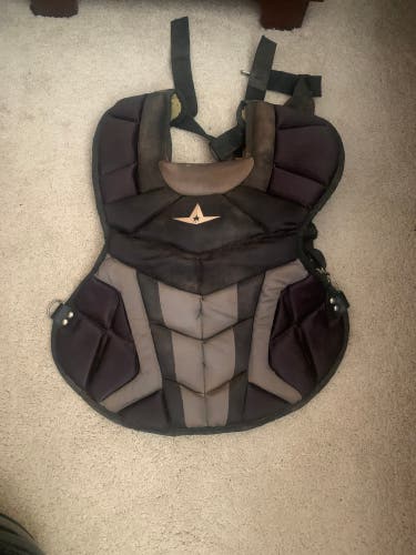 All Star Catcher's Chest Protector and Shins