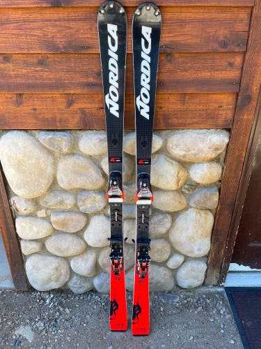 Men's 2021 Nordica Dobermann SL WC Skis