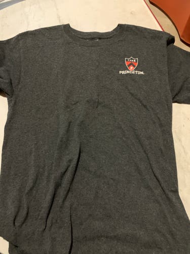 Gray Used Medium Champion Shirt
