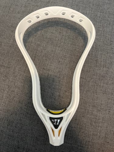 Regulator Max Head