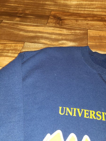 Irvine University of California Sweatshirt Crewneck Spellout 