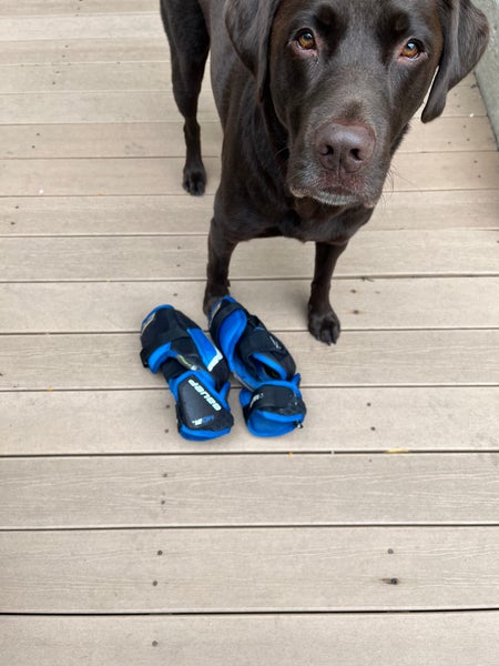 Used Small Bauer Nexus 2N Elbow Pads