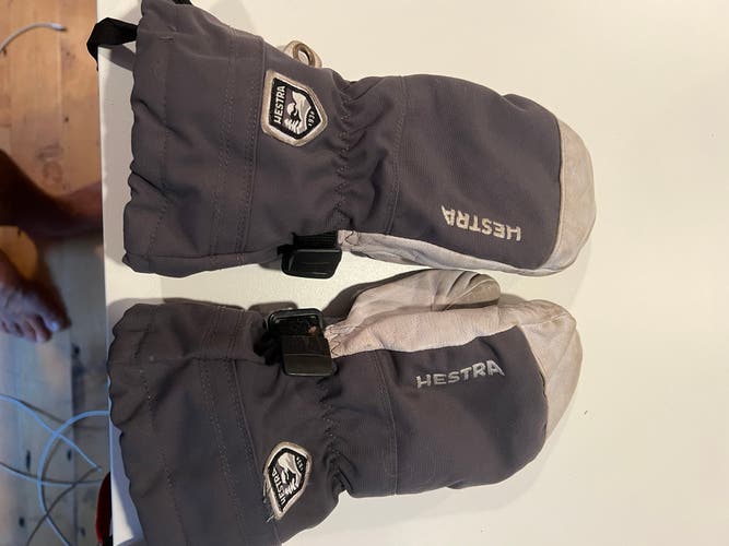 Gray Used  Hestra Gloves