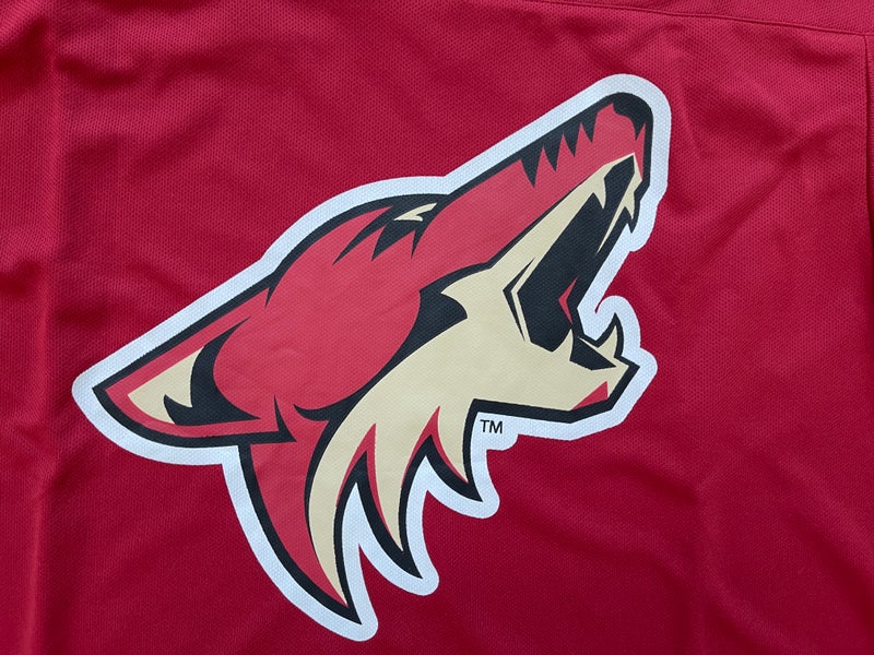 Arizona Coyotes NHL HOCKEY VINTAGE PHOENIX PHX Size XL SGA Hockey