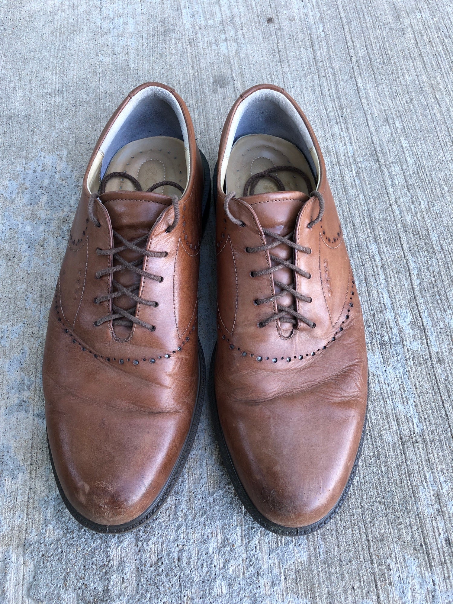 Ecco Golf Shoes 