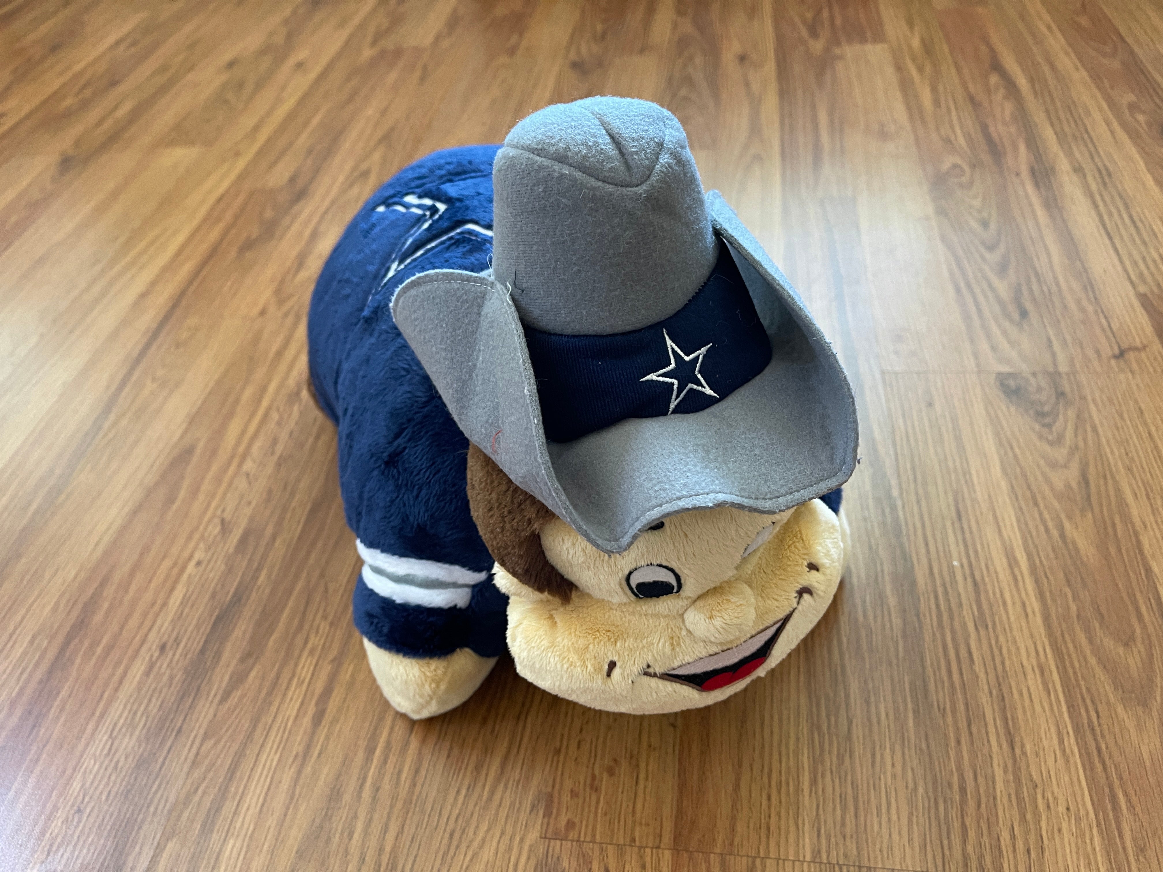 Rowdy, an ever-smiling buckaroo, has been the official mascot of the Dallas  Cowboys of the National Football League since 1996