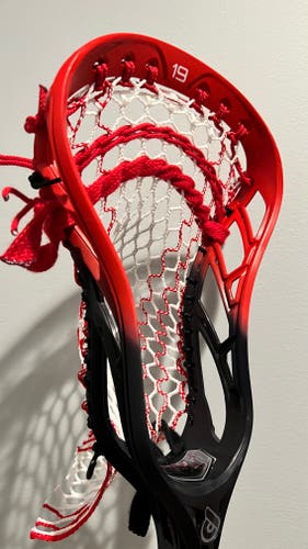 New Powell Pioneer D Head with ECD Hero 3.0 Stryker Storm Mesh