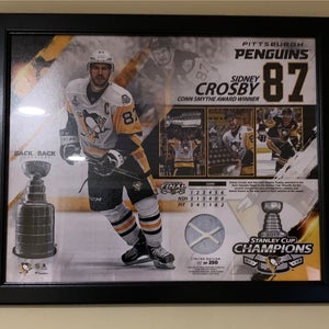 Sidney Crosby Back To Back Champions/ Conn Smythe 15x17 Framed Collage