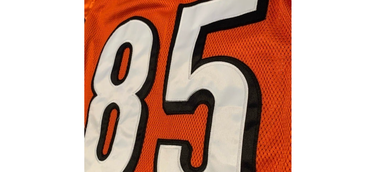 Vintage Cincinnati Bengals Chad Johnson 85 Jersey Reebok Size