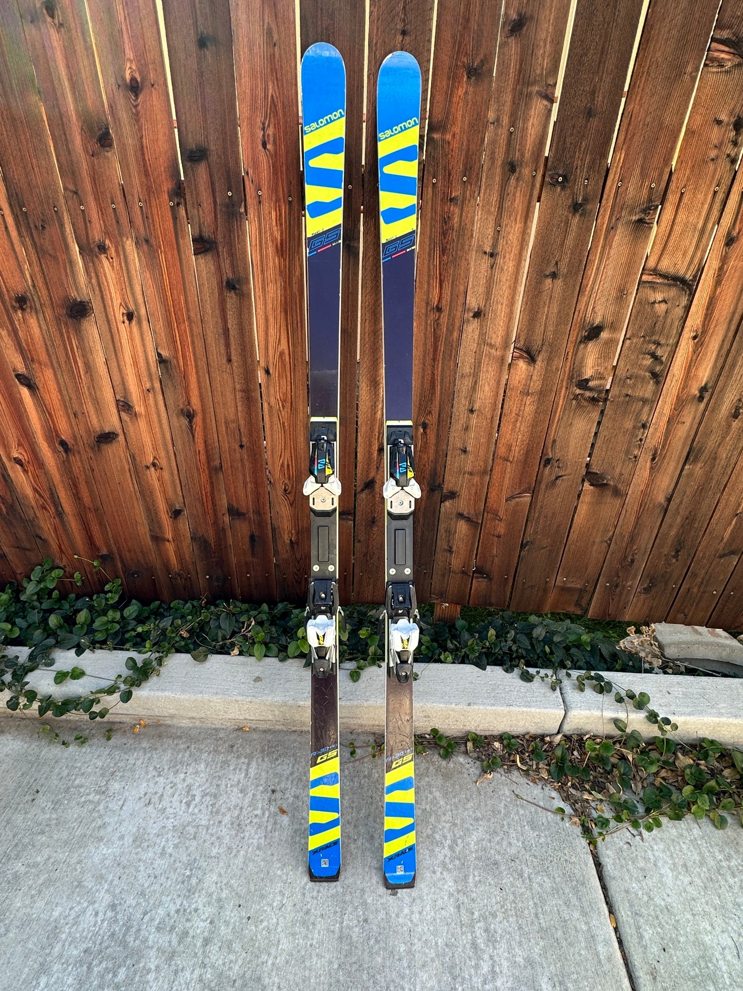 非売品 2020 Salomon 193cm R30 X19 - スキー
