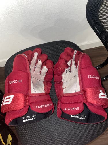 Bauer 14" Vapor Team Gloves