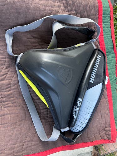 Warrior r/x2 pro