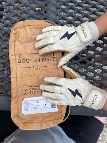 Batting Gloves Bruce Bolt