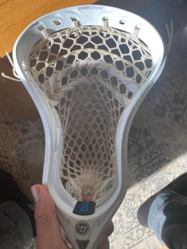 Used Warrior Evo Qx-O Head