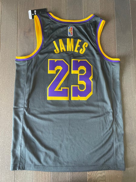 Nike Lebron James Lakers Earned Edition Swingman Jersey sz M / 44  Purple/Grey