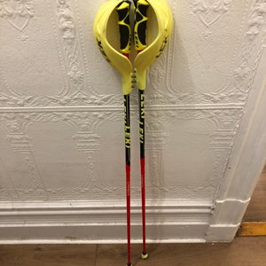 Leki Carbon SL poles