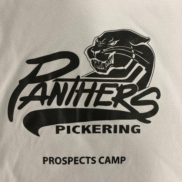 Pickering Panthers JrA gray practice jersey #4 (FREE SHIPPING)