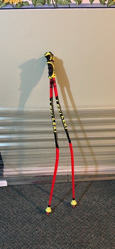 Used 40in (100cm) Leki World Cup - GS Ski Poles