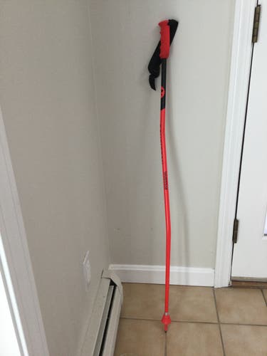 Used 44in (110cm) Rossignol Racing HERO GS Ski Poles