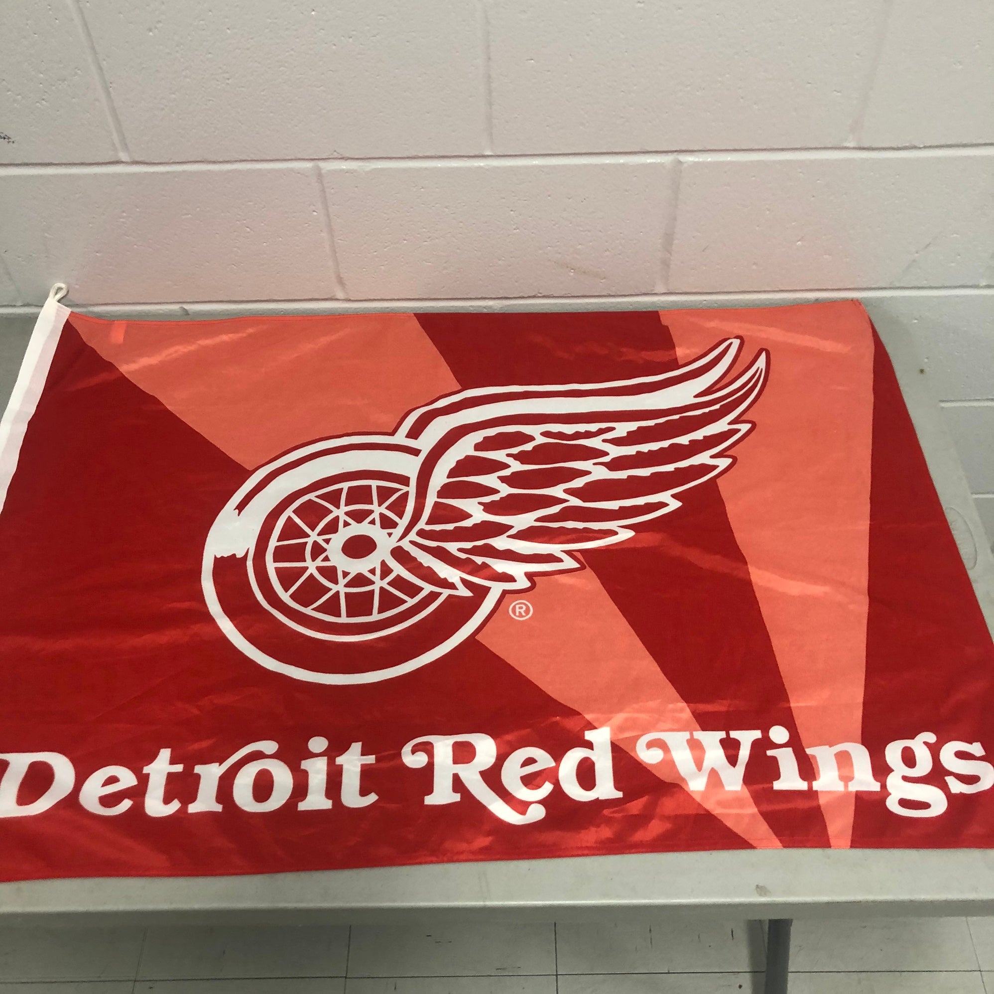 Detroit Red Wings Banner Flag