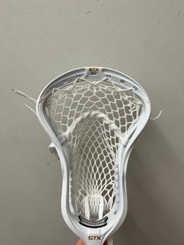 New STX Stallion Head