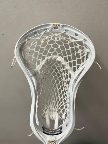 Used STX Stallion Head