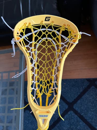 Used Strung Gait Head