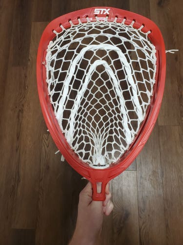 STX Shield + TMD 10d Hex