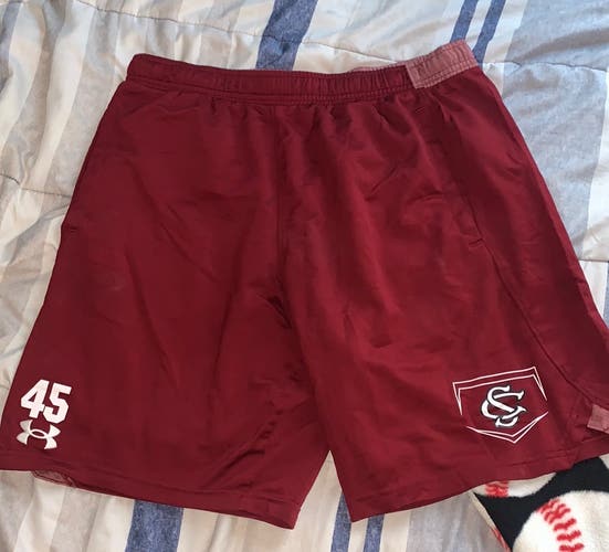 University of South Carolina Shorts