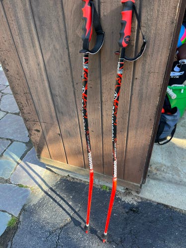 Rossignol HERO GS/SG Ski Poles
