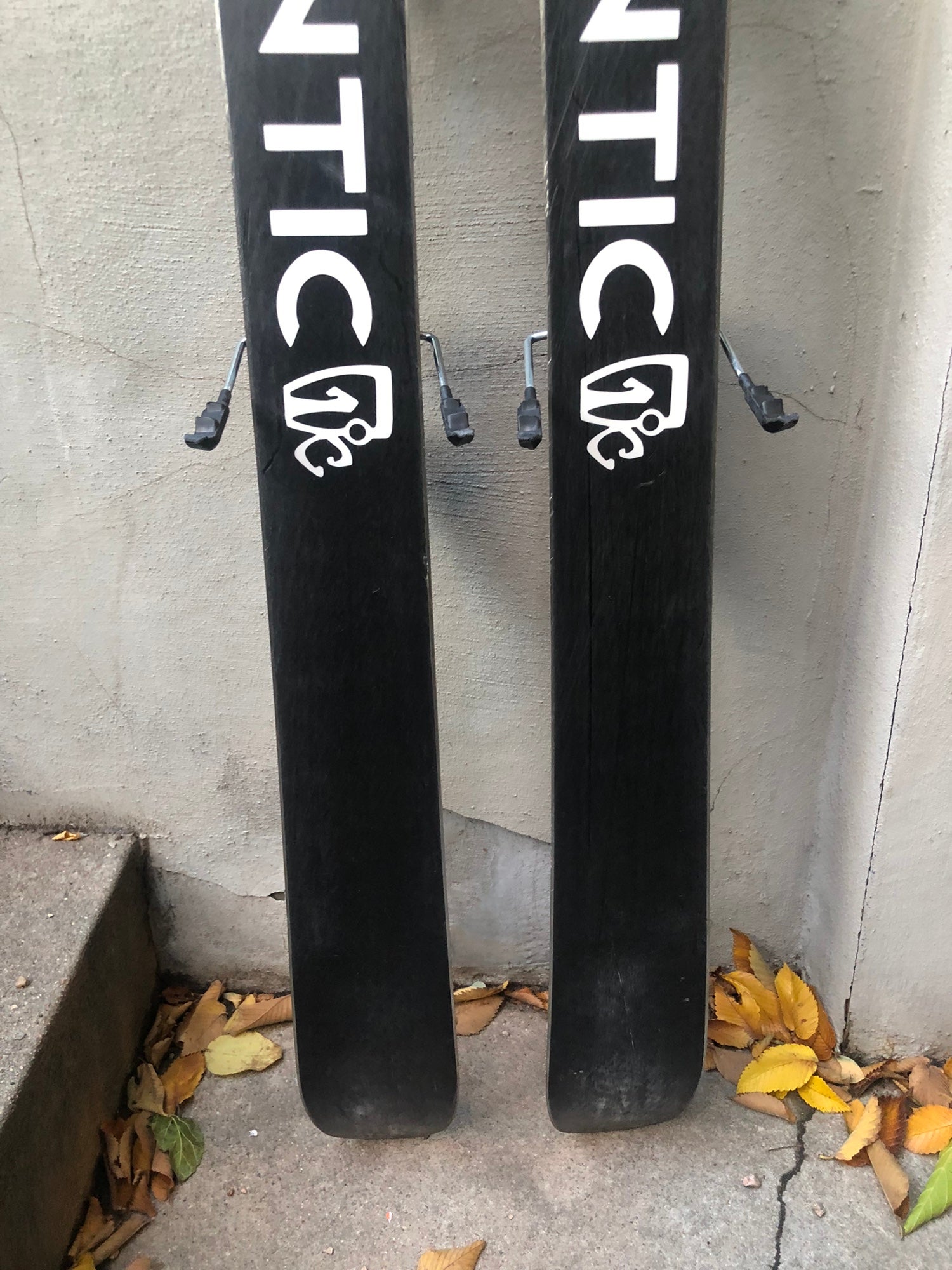 Icey Grass Sticks w/ Touring Grip — Icelantic Skis