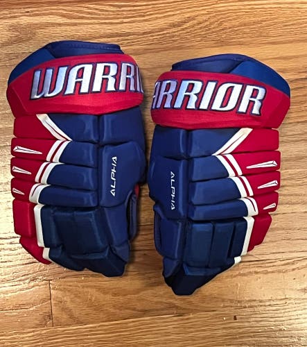 Warrior 14"  Alpha DX3 Gloves