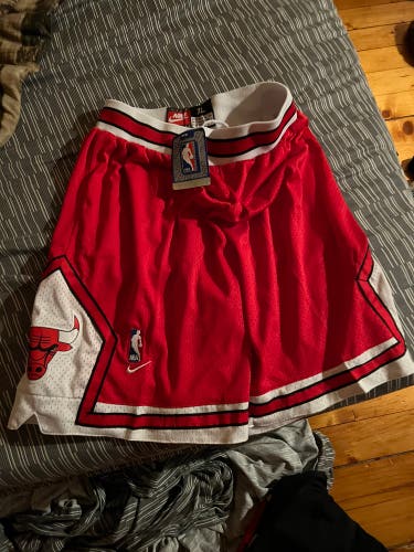 Chicago Bulls Red New XL Nike Short