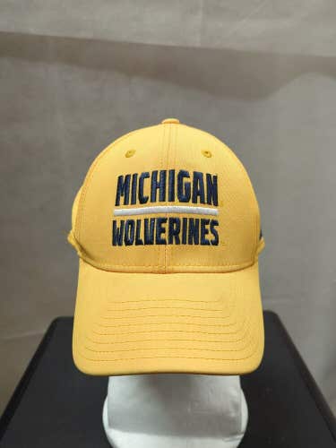 Michigan Wolverines Adidas Flex Hat L/XL NCAA